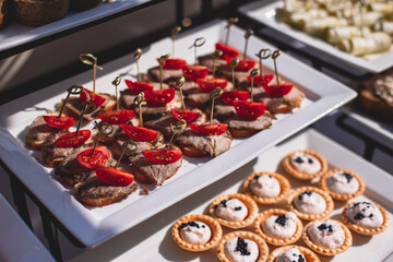 Catering table, beautifully decorated banquet with variety of with different food snacks and appetizers on corporate birthday party event or wedding celebration, seafood, canape, delicatessen setting