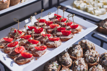 Catering table, beautifully decorated banquet with variety of with different food snacks and appetizers on corporate birthday party event or wedding celebration, seafood, canape, delicatessen setting
