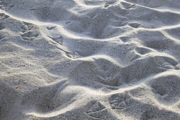 Flowing small dunes of white beach sand with bird footprints.
