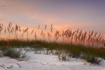 A dune of beachgrass on a white sandy beach frames a vibrant sunset sky of orange, blue and purple.