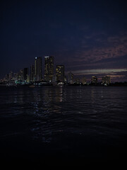 Obraz premium city skyline at night