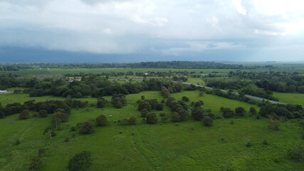 field and trees on the road
