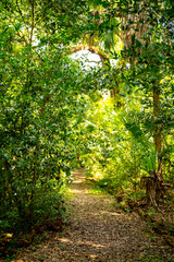 Fototapeta na wymiar Nature walking path with blurry background bokeh