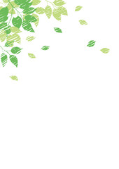 手描きの葉　新緑のフレーム