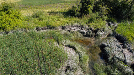 Fototapeta na wymiar view of the wetland with a waterway go through the dense green grasses on a sunny day