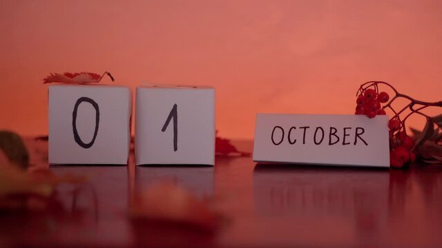 Cube calendar with an important date of October with maple leaves and berries on the desk. Autumn Season. China national day, world vegetarian day and international day of older people date