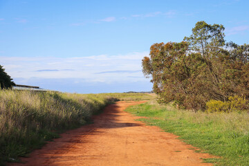 road in the countryside