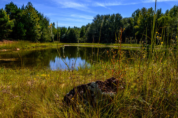 Pond In Semi Open Field-2743