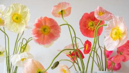 Nature background - close up of yellow, pink, coral and red tulips with green stems (selective...
