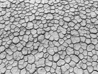 Dried Black and White Cracked Desert River Bed