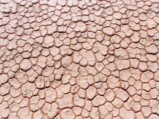 Dried Pink Cracked Desert River Bed