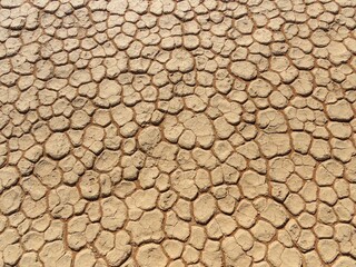 Dried Brown Cracked Desert River Bed