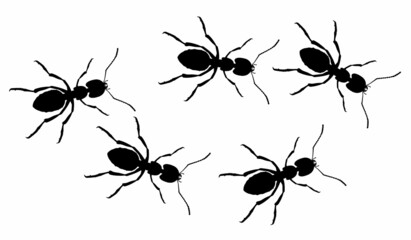 A line of worker ants marching in search of food. Vector banner

