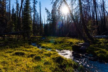 Obraz premium Utah Mountain Views