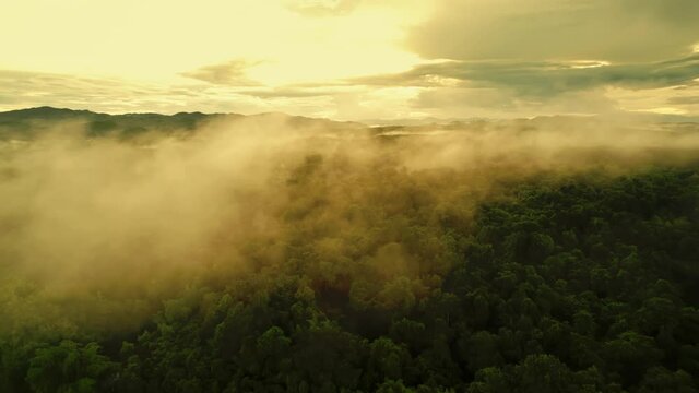 Aerial view drone shot of flowing fog waves on mountain tropical rainforest In the evening, Bird eye view image over the clouds Amazing nature background with clouds and mountain peaks.