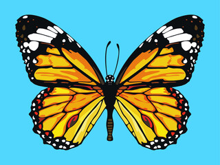 Monarch butterfly t-shirt design