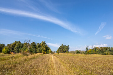 Autumn landscape with dirt road between meadows