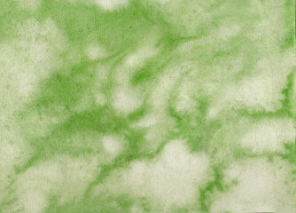 Fototapeta na wymiar abstract green texture