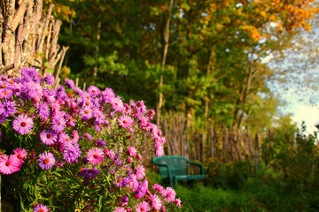 Naklejka na ściany i meble Gartenidylle herbst