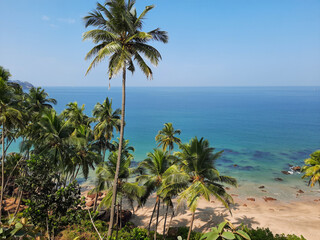 Blue water and palm trees beautiful goa beach, clean water beach in india,  goa beach, arabian sea beach. turquoise blue transparent sea water.