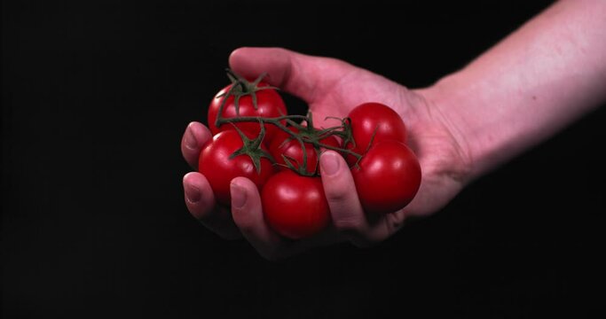 Male hand squeezes a branch with tomatoes flattening vegetables