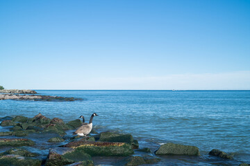 The Balmy Beach on a sunny day in Ontario Canada