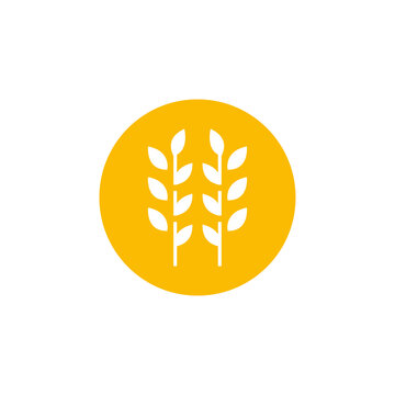 circle yellow paddy wheat barley plant harvest agriculture image vector - Vector