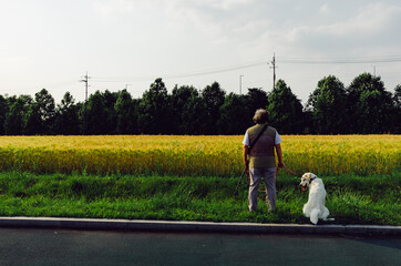 person with dog in rice field