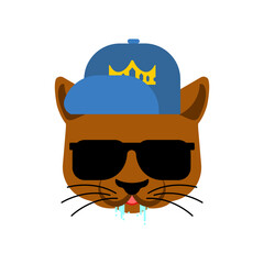 Cat Gangsta face. Angry pet muzzle. Animal bully member of gang of street criminals