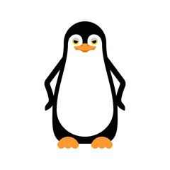 Cartoon Penguin isolated.  flightless seabird. vector illustration