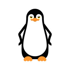 Cartoon Penguin isolated.  flightless seabird. vector illustration