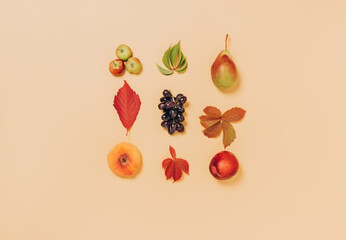 Autumn l fruits apples pears grapes fallen leaves are lined with a pattern pastel background. Autumn flat layout