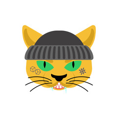 Cat Gangsta face. Angry pet muzzle. Animal bully member of gang of street criminals