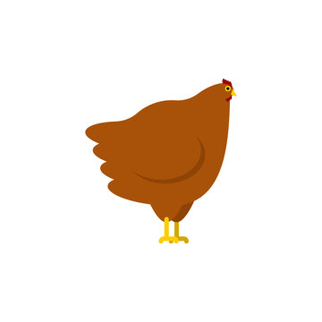 Hen isolated. Chicken Farm bird. vector illustration