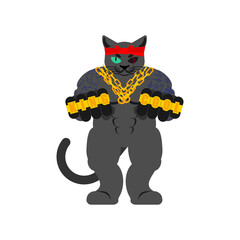Cat Gangsta isolated. Angry pet bully member of gang of street criminals. Tattoos and weapons, gold chain and gun