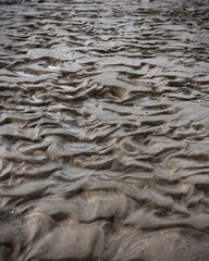 ripples in the water