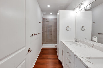 Bathroom with bathtub and shower in new luxury home with all glass shower. 