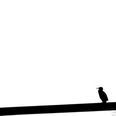 Arrière fond blanc avec une silhouette d'oiseau sur une branche