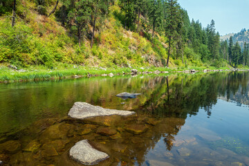 Trees are reflected in the South Fork of the Clearwater River in Idaho, USA - obrazy, fototapety, plakaty