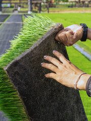 Hands of female farmer holding young rice sprout ready to grow in rice field.Farmer transplanting rice seedlings.Fragrant jasmine rice seedlings preparation for planting.Selective focus on right hand.