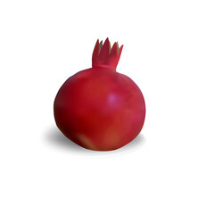 Vector illustration of a pomegranates on a white isolated background.