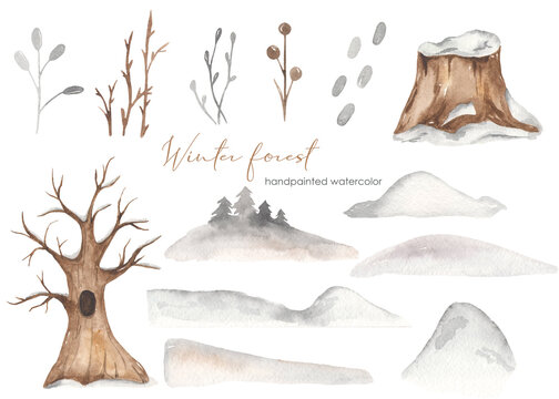 Watercolor set winter forest with oak tree with snow, tree stump, snowdrifts, dry grass, branches