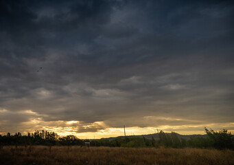 campo proximo a la ciudad en invierno con plantas