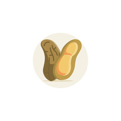 Peanut icon designed in color flat style in fruit and food illustration theme