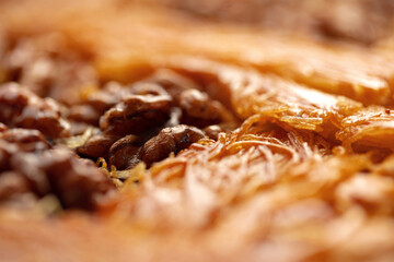 Close up of Turkish Baklava dessert with honey and nuts