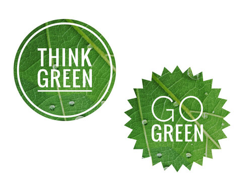 Think green and go green logo on white backgrund, eco concept banner and logo