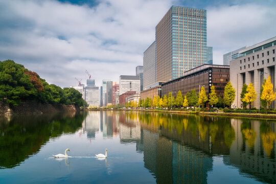 Beautiful scene with reflections in water  in autumn at the lake surrounding the historical fortified walls of the Imperial Palace grounds in Chiyoda's Marunouchi business district in Tokyo Japan.