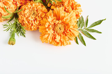 autumn banner. beautiful fall flower arrangement on a white background. simple flat lay, copy space