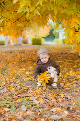 Little cute boy in an autumn coat and cap plays in an autumn park with yellow leaves and a toy teddy bear. Autumn mood