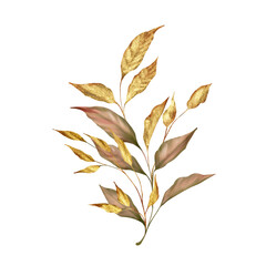 Floral illustration. Autumn leaf branches. Golden decorative elements